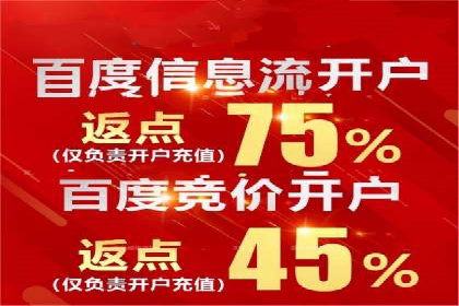 SEM推广代运营：成功案例解析与策略分享